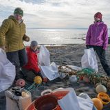 Nachhaltigkeit: Drei Helferinnen sortieren am Strand auf Spitzbergen Müll