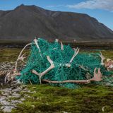 Nachhaltigkeit: Ein Netz am Strand mit Geweihen toter Rentiere