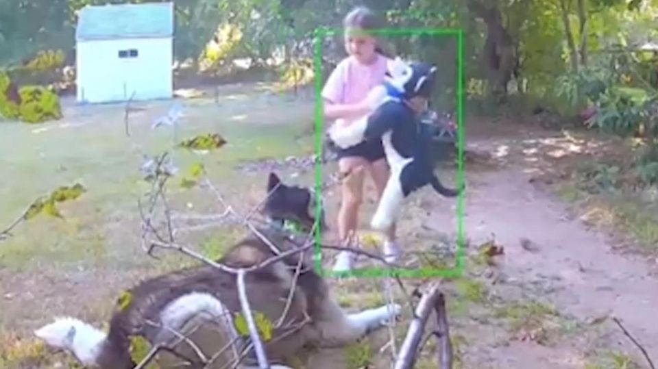 Mädchen klaut Nachbarin den Hund – und ersetzt ihn mit ihrem Kuscheltier