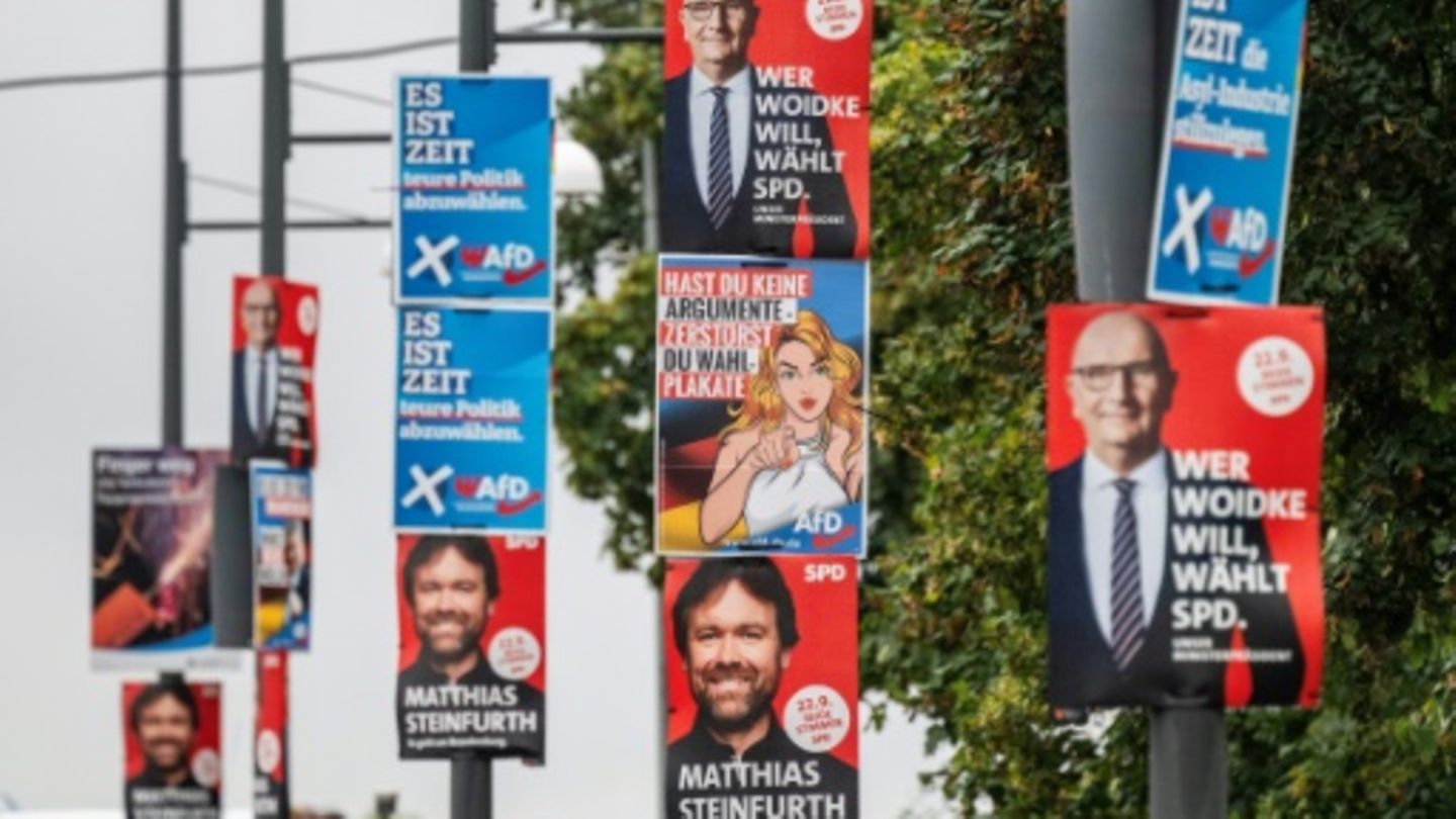 Wahlplakate in Brandenburg