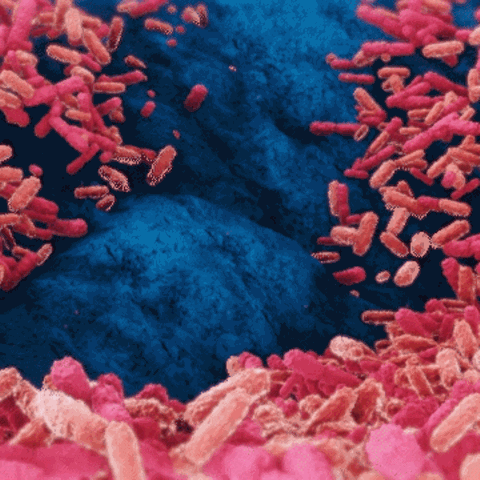 Antibiotikaresistente Keime Symbolbild