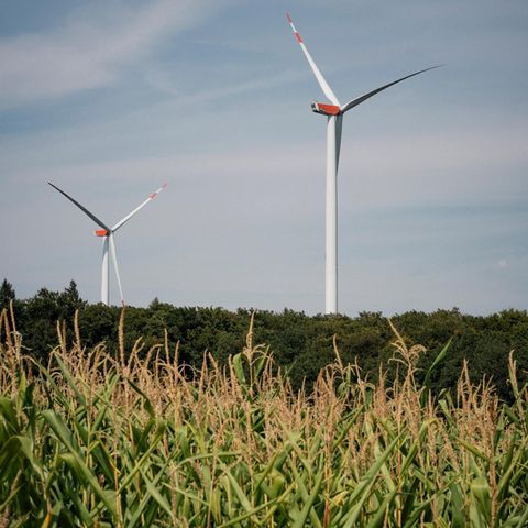 Zwei Windräder hinter einem Feld