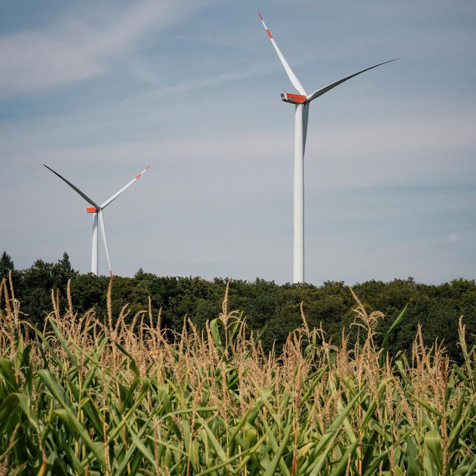 Zwei Windräder hinter einem Feld