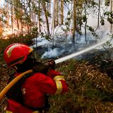 Innerhalb von rund 48 Stunden sind 62.000 Hektar Natur in Mitleidenschaft gezogen worden, wie die portugiesische Nachrichtenagentur Lusa berichtet. Das sind 620 Quadratkilometer, was der doppelten Fläche Münchens entspricht
