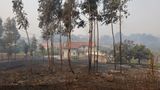 Dieses Haus in der Ortschaft Sever do Vouga ist vom Feuer verschont geblieben, die Flammen wurden offenbar rechtzeitig gestoppt