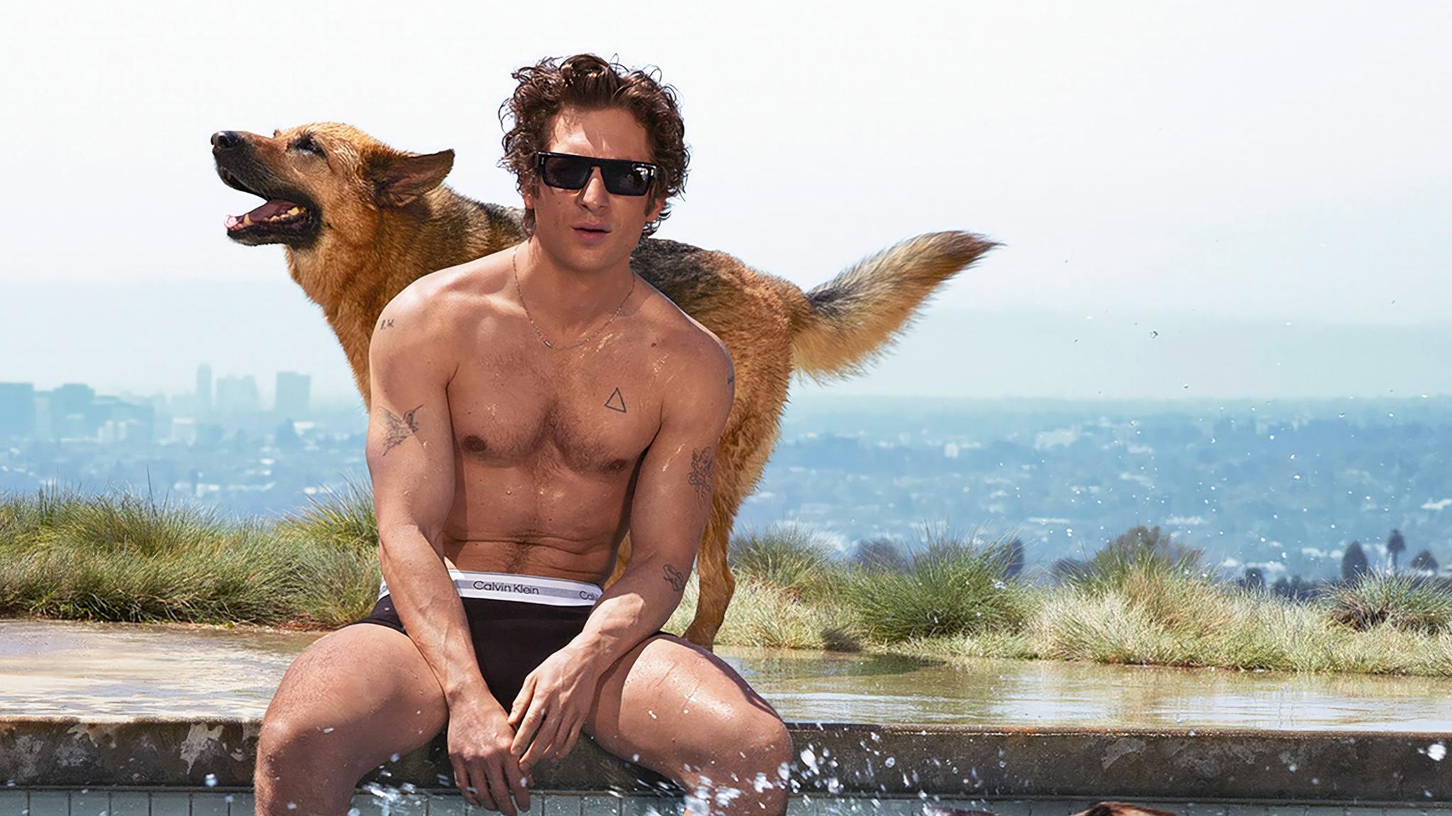 Jeremy Allen White in Calvin Klein Kampagne