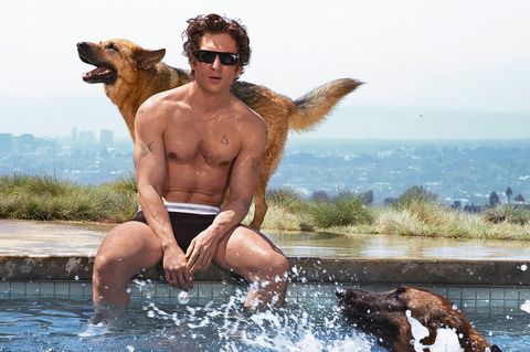 Jeremy Allen White in Calvin Klein Kampagne
