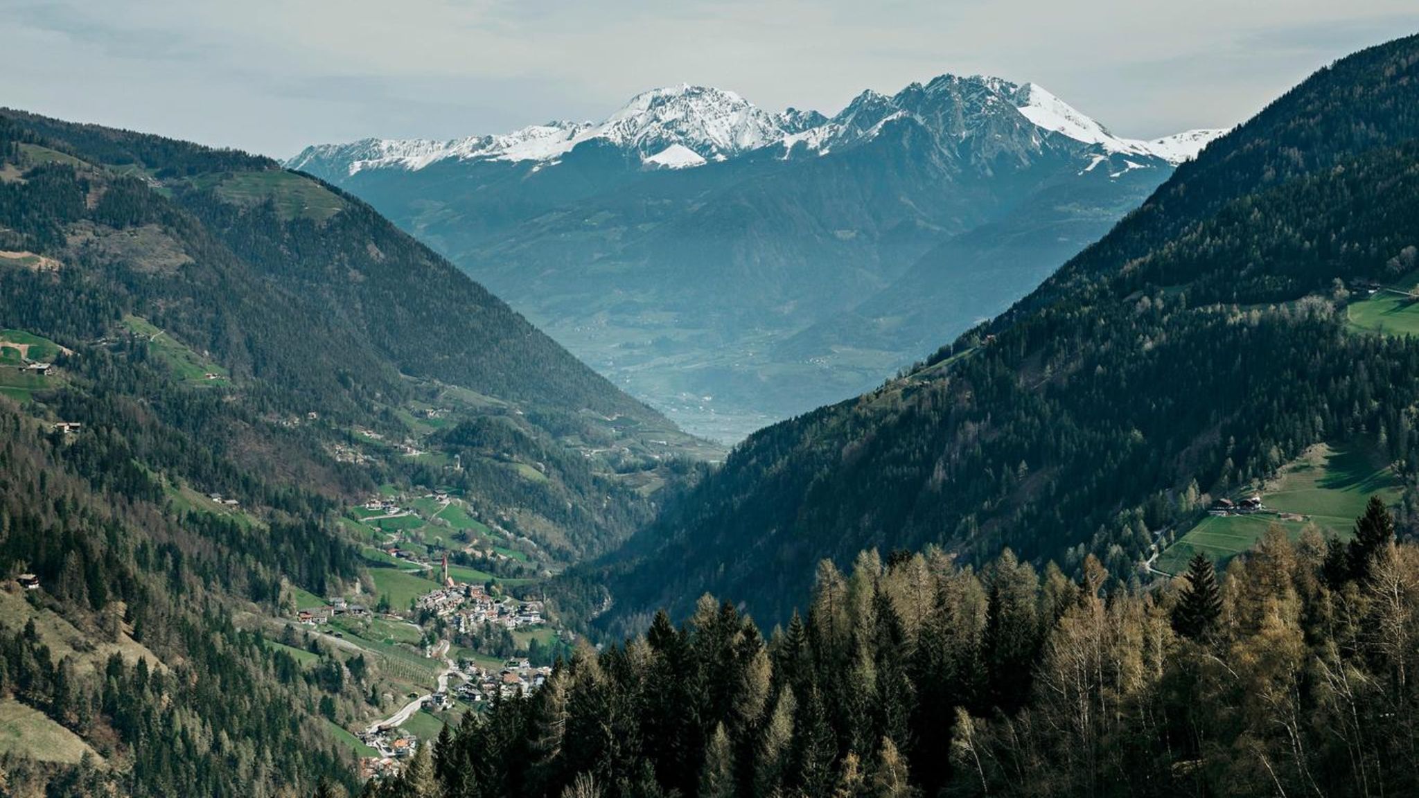 Blick ins östliche Ultental Richtung St. Pankraz