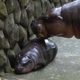 … und natürlich auch aus der Nähe!