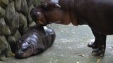 … und natürlich auch aus der Nähe!