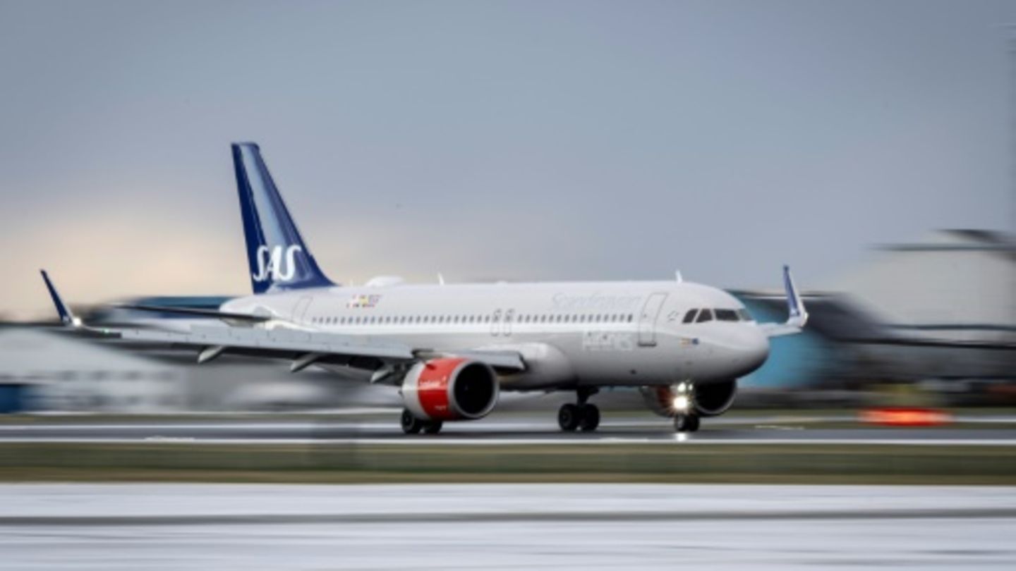 Maus erzwingt Landung eines Flugzeugs auf dem Weg nach Spanien