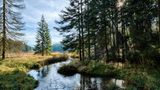 Bayerischer Wald, Deutschland
