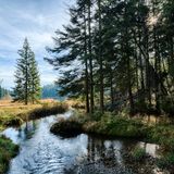 Bayerischer Wald, Deutschland