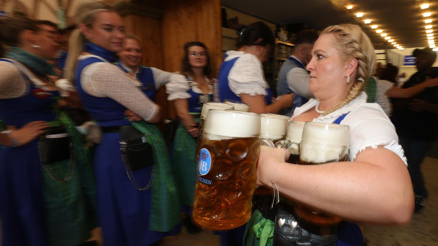 Serviererin trägt sieben oder acht Krüge Bier auf einmal