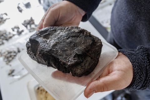 Archäologie: Die Überreste des gefundenen Paddels