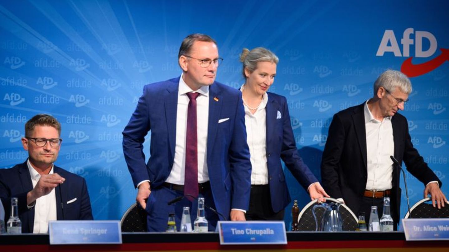 De AfD Spitze am Tag nach der Landtagswahl in Brandenburg. Foto: Bernd von Jutrczenka/dpa