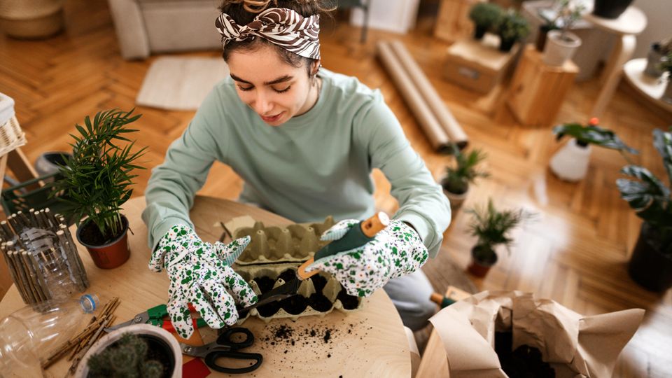 Eine Frau pflanzt in ihrem Wohnzimmer einen alten Eierpapierbehälter