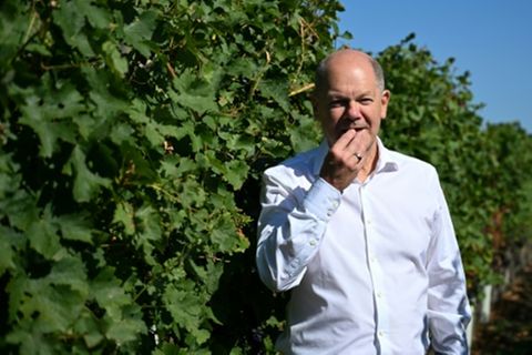 Scholz im brandenburgischen Weingut Wachtelberg