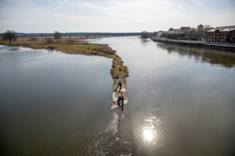 Oder bei Frankfurt ohne Hochwasser