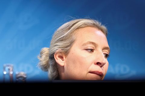 AfD-Vorstand Nominiert Weidel Als Kanzlerkandidatin | STERN.de