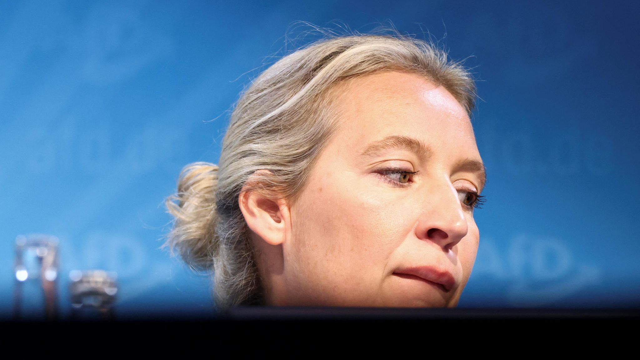 AfD-Vorsitzende Alice Weidel