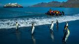 Menschen und Pinguine