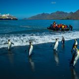 Menschen und Pinguine