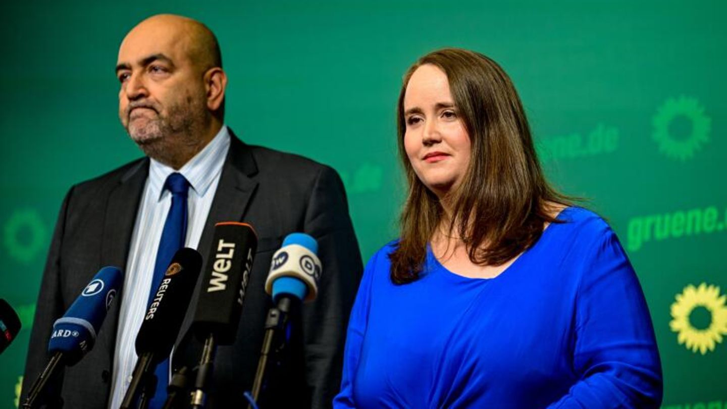 Green Party leadership resigns en masse