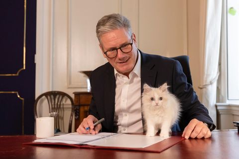 Das wohl berühmteste Haustier des Landes bekommt vielleicht bald einen Nachfolger. Premier Keir Starmer bringt Kätzchen Prince mit, welches noch etwas kamerascheu ist.