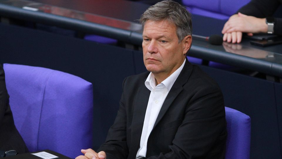 Bundeswirtschaftsminister Robert Habeck (Grüne) im Bundestag.