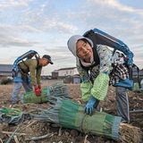 Das Ehepaar bei der Farmarbeit