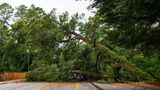 In North Carolina waren ganze Straßen unbefahrbar, weil umgeknickte Bäume den Weg versperrten und Autos unter sich begruben