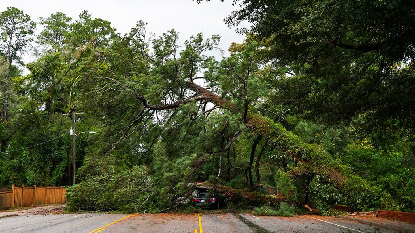 In North Carolina waren ganze Straßen unbefahrbar, weil umgeknickte Bäume den Weg versperrten und Autos unter sich begruben