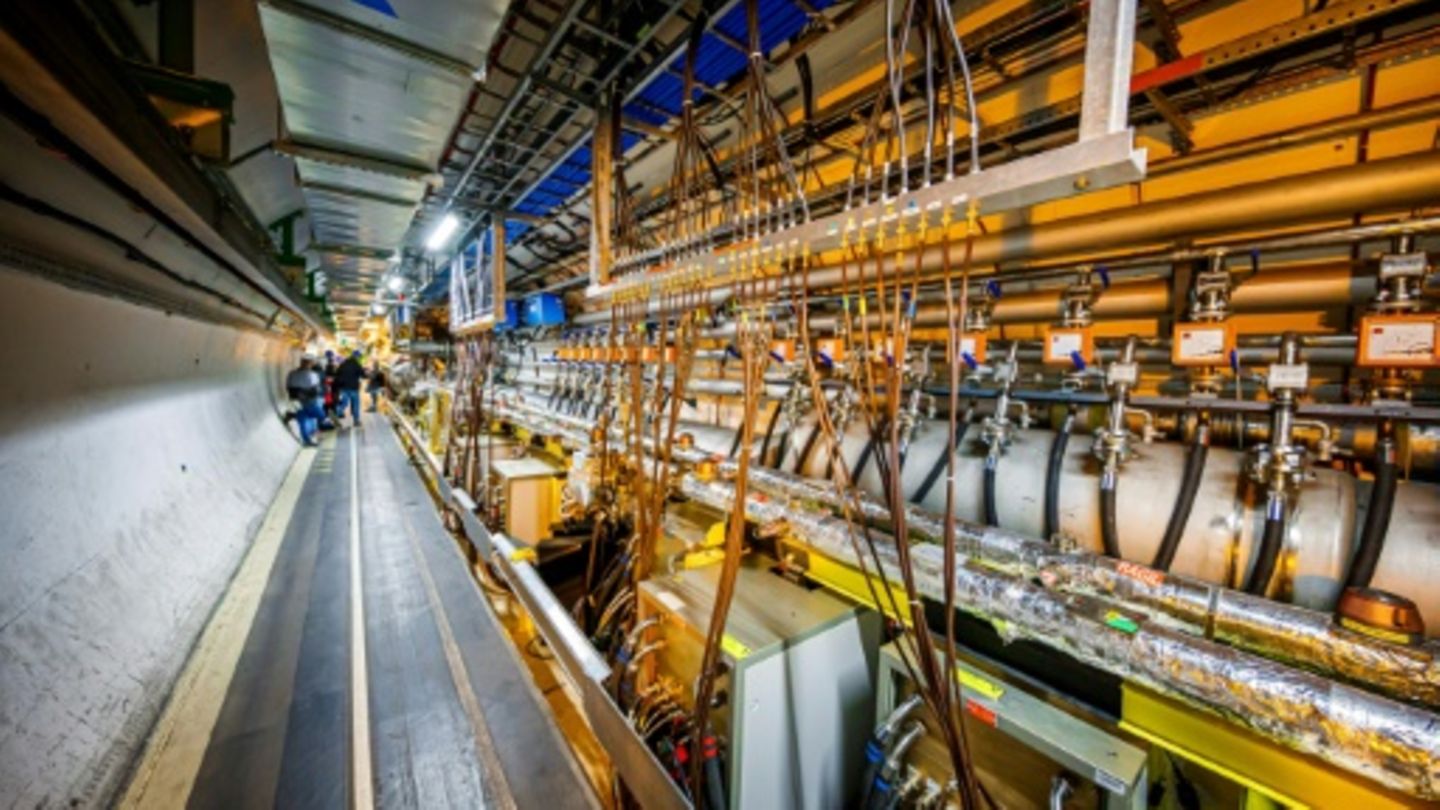 Rund 500 Forscher von Cern-Kooperationsstopp mit Russland betroffen