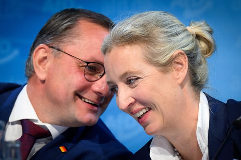 Warum ein Verbot der AfD schwierig werden könnte