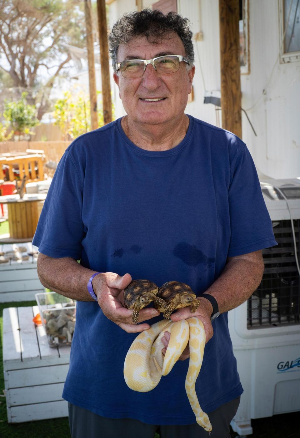 Mann mit zwei Schildkröten
