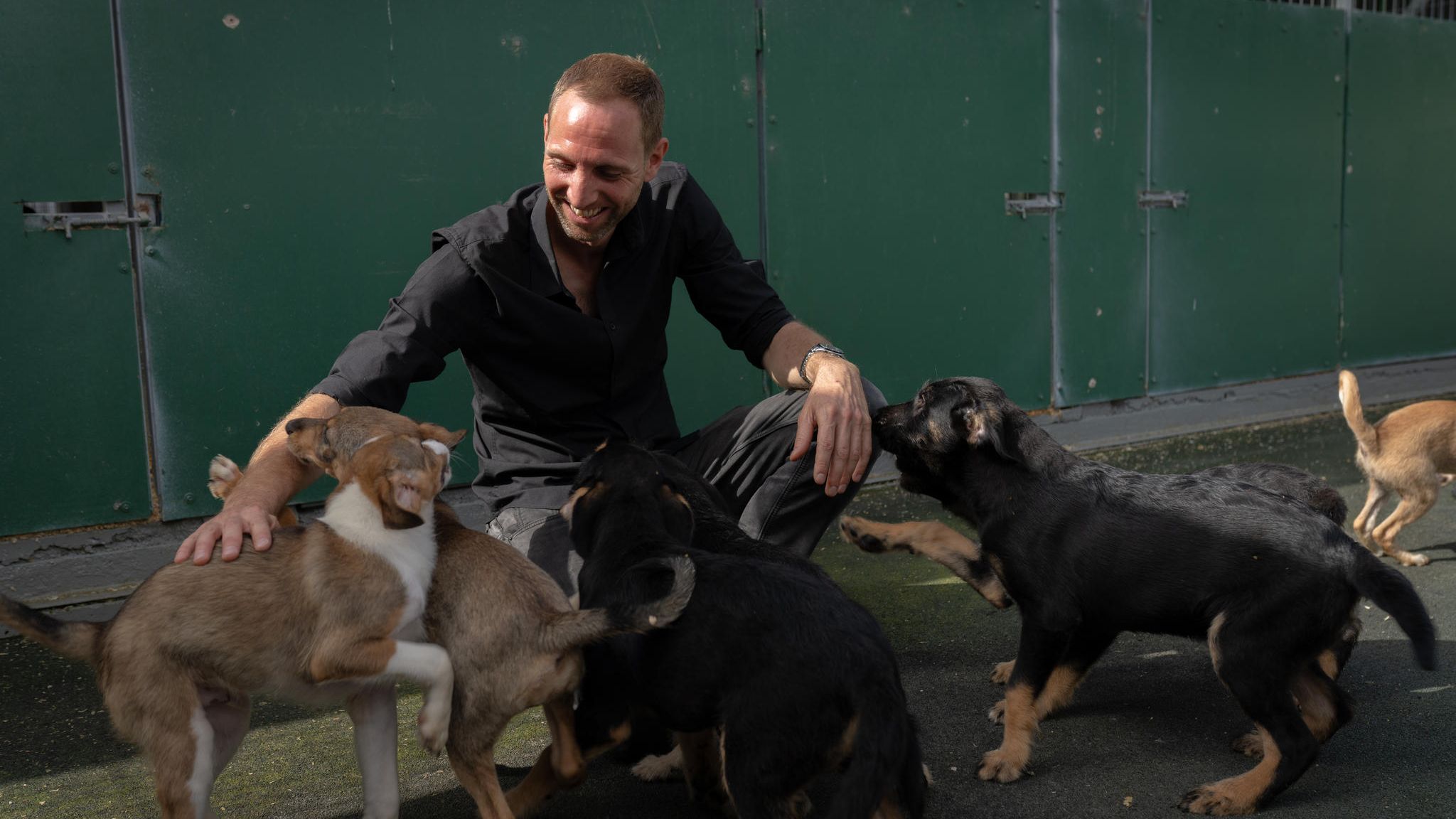 Straßenhunde Matthias Schmidt und Straßenhunde in der Smeura, dem größten Tierheim der Welt, das er mit seinem Verein betreibt