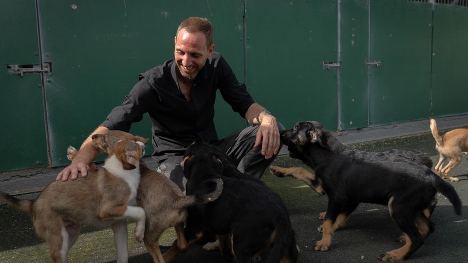 Matthias Schmidt und Straßenhunde in der Smeura, dem größten Tierheim der Welt, das er mit seinem Verein betreibt