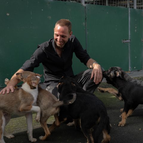 Matthias Schmidt und Straßenhunde in der Smeura, dem größten Tierheim der Welt, das er mit seinem Verein betreibt