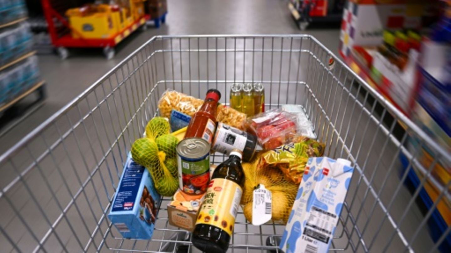 Einkaufswagen in einem Supermarkt
