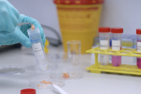 Ist das die Zukunft? Für diesen Fisch soll kein weiteres Tier sterben müssen. Wie das funktioniert, sehen Sie im Video.