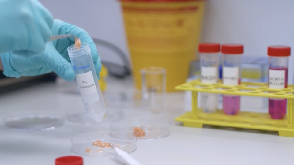 Ist das die Zukunft? Für diesen Fisch soll kein weiteres Tier sterben müssen. Wie das funktioniert, sehen Sie im Video.