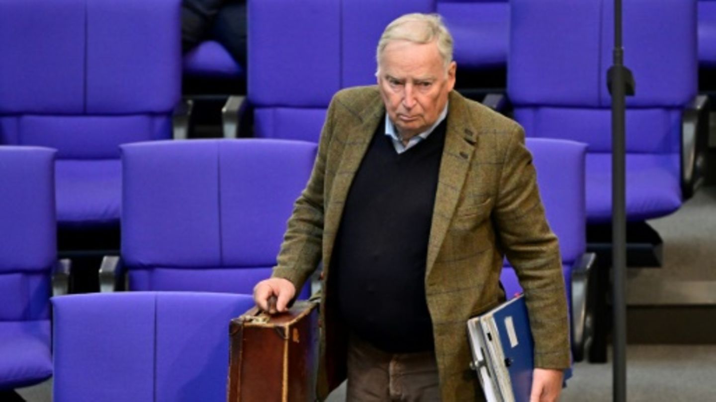 Alexander Gauland im Bundestag