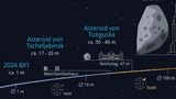 2024 BX1 ging im Januar 2024 über Berlin-Brandenburg nieder und zerbarst in der Luft; seine Überreste bilden den Havelland-Meteoriten. Ein ungarischer Astronom hatte das Objekt kurz vor dem Einschlag entdeckt, sodass sich sein Anflug verfolgen ließ. Das gelingt äußest selten. Zwar fallen Asteroiden von einem Meter Größe etwa alle zwei Wochen zur Erde. Meist bemerken wir sie jedoch erst, wenn sie als Meteor verglühen. Die größten Impaktoren der jüngsten Vergangenheit stürzten über den russischen Orten Tscheljabinsk (2013) und Tunguska (1908) vom Himmel. Beide explodierten über dem Erdboden. In Tscheljabinsk zersplitterten durch die Druckwelle zahllose Fensterscheiben, in Tunguska knickten auf 2200 Quadratkilometern Bäume um