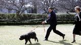 Ronald Reagan und Margaret Thatcher mit Reagans Hund