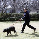 Ronald Reagan und Margaret Thatcher mit Reagans Hund