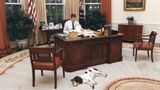 George Bush im Weißen Haus, auf dem Teppich liegt ein Hund mit einem Ball im Maul