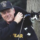 Bill Clinton und "First Cat" Socks