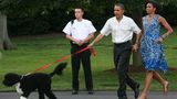 Die Obamas und ihr "Bo"