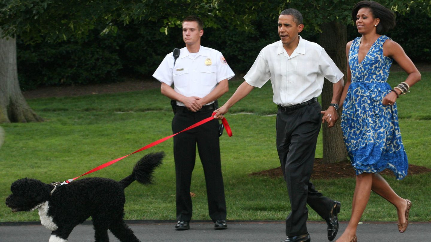 Die Obamas und ihr "Bo"